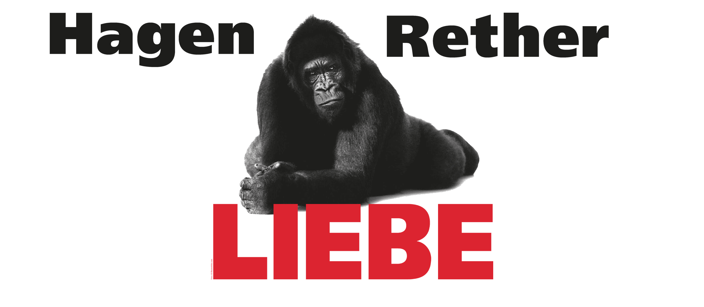 Ein schwarzer Gorilla liegt hinter dem in roten Lettern geschriebenen Wort LIEBE